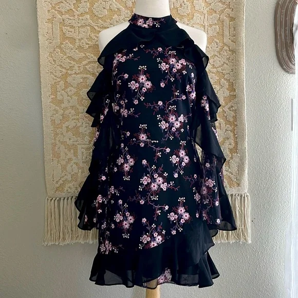 parker embroidered dress Parker Embroidered Mini Dress